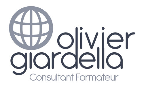 Consultant formateur SIG